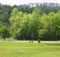 Cardinal Nest Cabin 80 - Accommodation Los Angeles