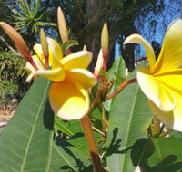 Casa Portugal - Accommodation Los Angeles