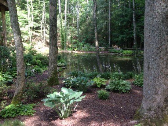 Cold Mountain Pond - thumb 3
