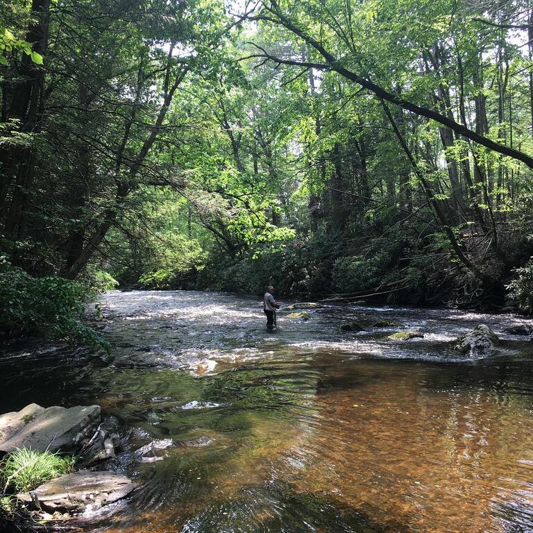 Countryside Cottages - thumb 3