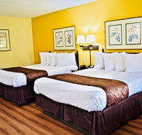 Days Inn by Wyndham Burleson Ft. Worth - Accommodation Los Angeles