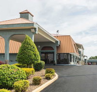 Econo Lodge White Pine - Accommodation Los Angeles