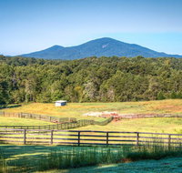 High-end Clarkesville Apt on Horse Farm - Accommodation Los Angeles