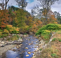 Historic Chester House 10-30 Mins to 5 Mountains! - Accommodation Los Angeles