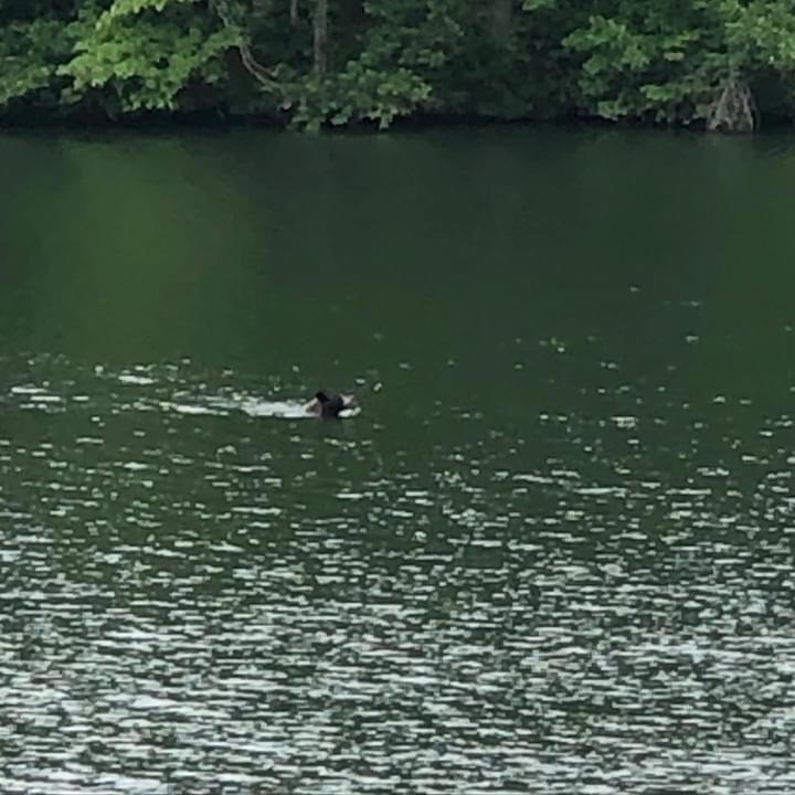 Lakefront 2br Townhome With Six Per Hot Tub - thumb 3