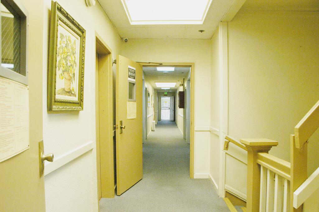 Little Tokyo Hotel - thumb 1