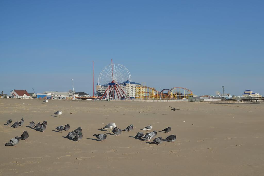 Newly Renovated, Minutes From Ocean City, Assateague Island Home - thumb 3