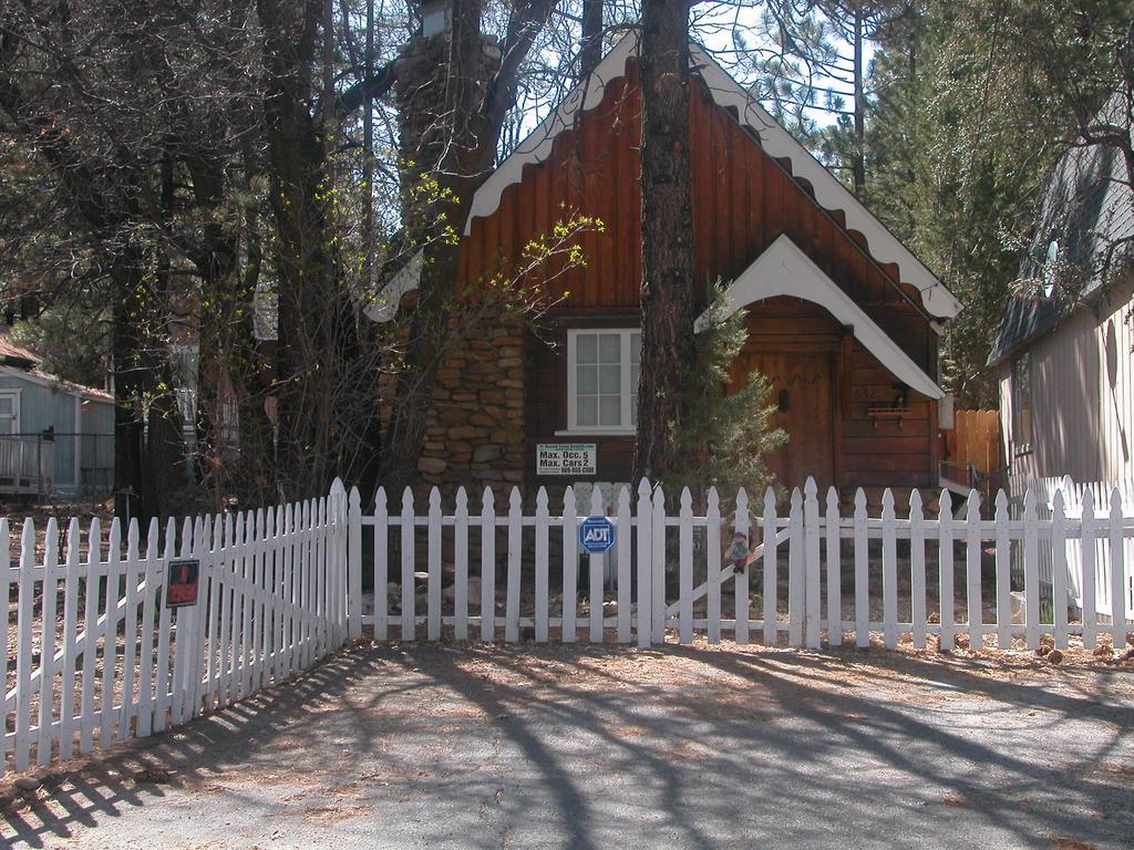Our Bear Pad