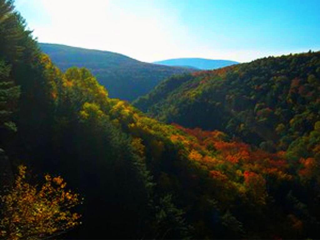 Play All Day Sleep By The Kaaterskill Creek - thumb 2