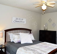 Prime Llama Gem Cute as can Be  Proximity - Accommodation Los Angeles