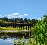 Surfcrest Vacation Condominiums a VRI resort - Accommodation Los Angeles