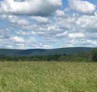 Tentrr - Parry's Orchard Camp - Accommodation Los Angeles