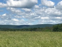 Booking Dallas Accommodation Los Angeles