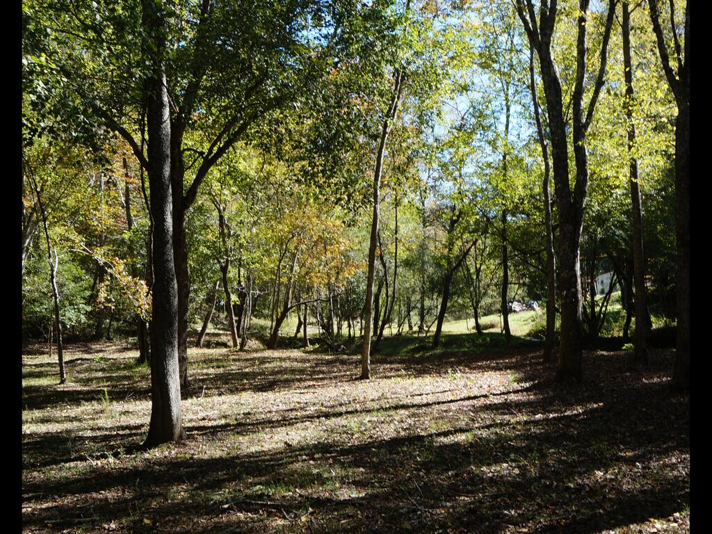 Tentrr Signature Site - River Breeze Trout Fishing Signature Site - thumb 3