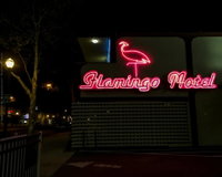The Flamingo Motel Accommodation Los Angeles