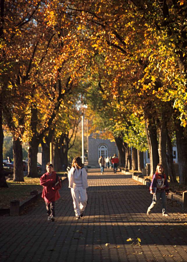 Hotel St. Michael - thumb 19