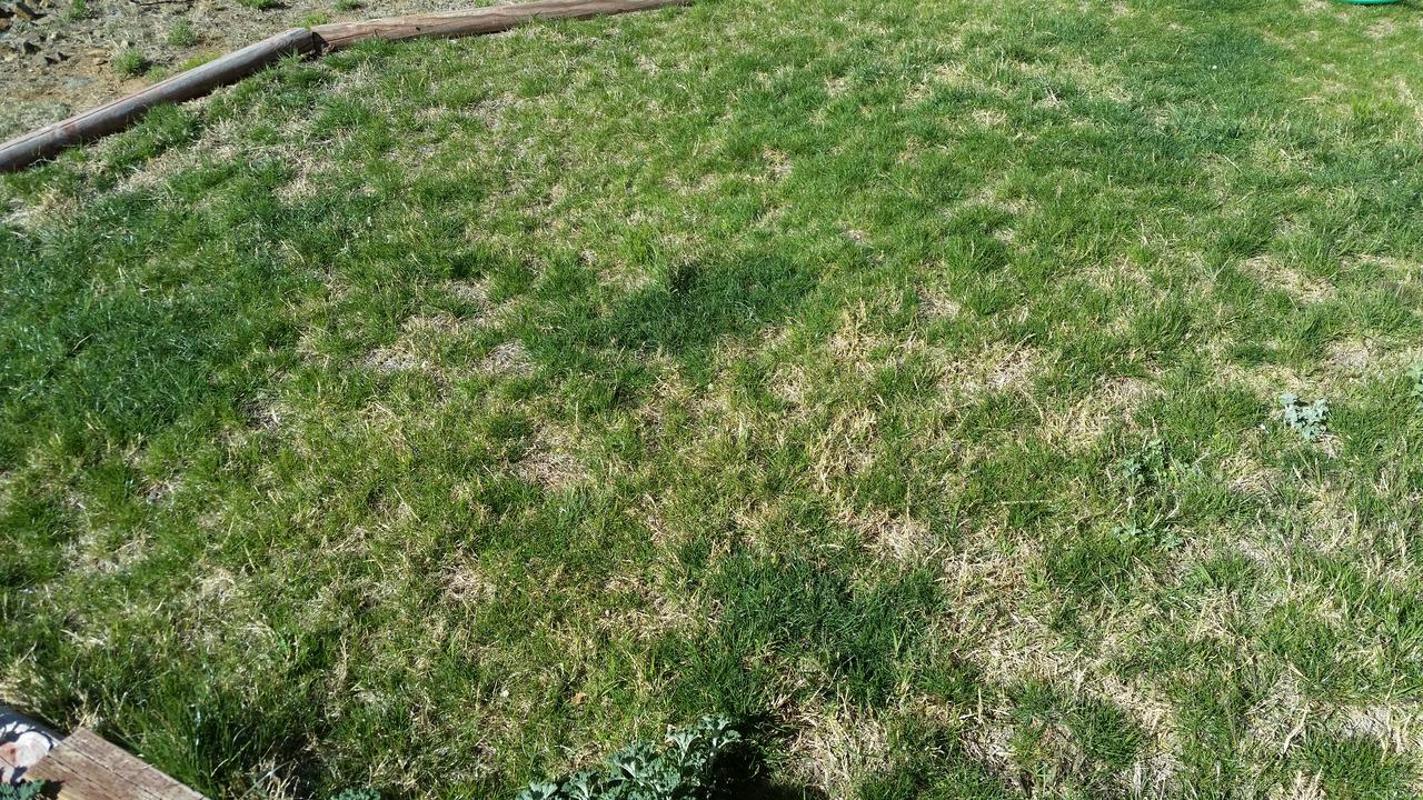 Chisolm Trails End B&B - thumb 35