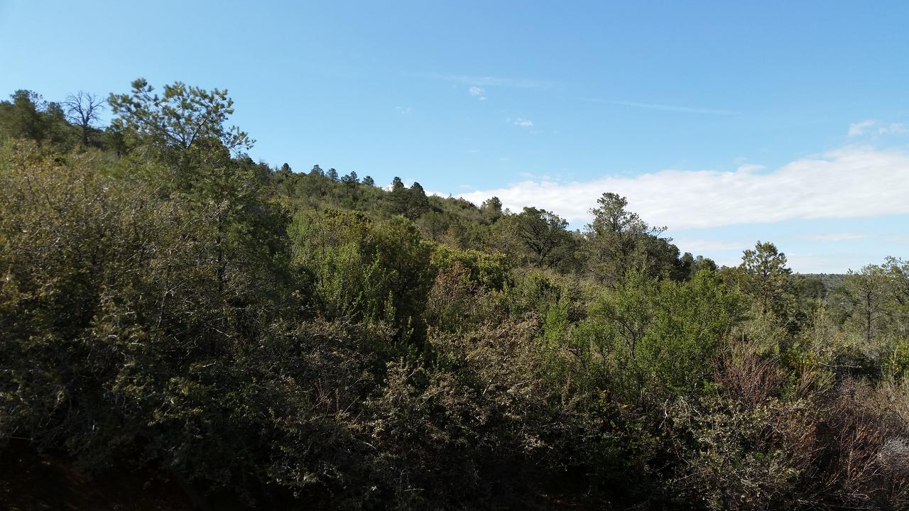 Chisolm Trails End B&B - thumb 36