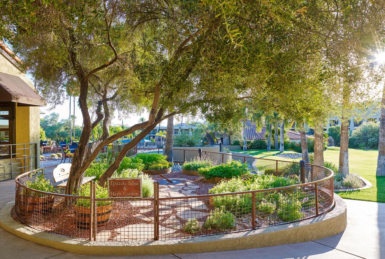 El Conquistador Tucson, A Hilton Resort - thumb 34