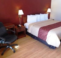 Red Roof Inn Texarkana - Accommodation Los Angeles