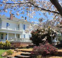 Spring Street Inn Hot Springs National Park - Accommodation Los Angeles