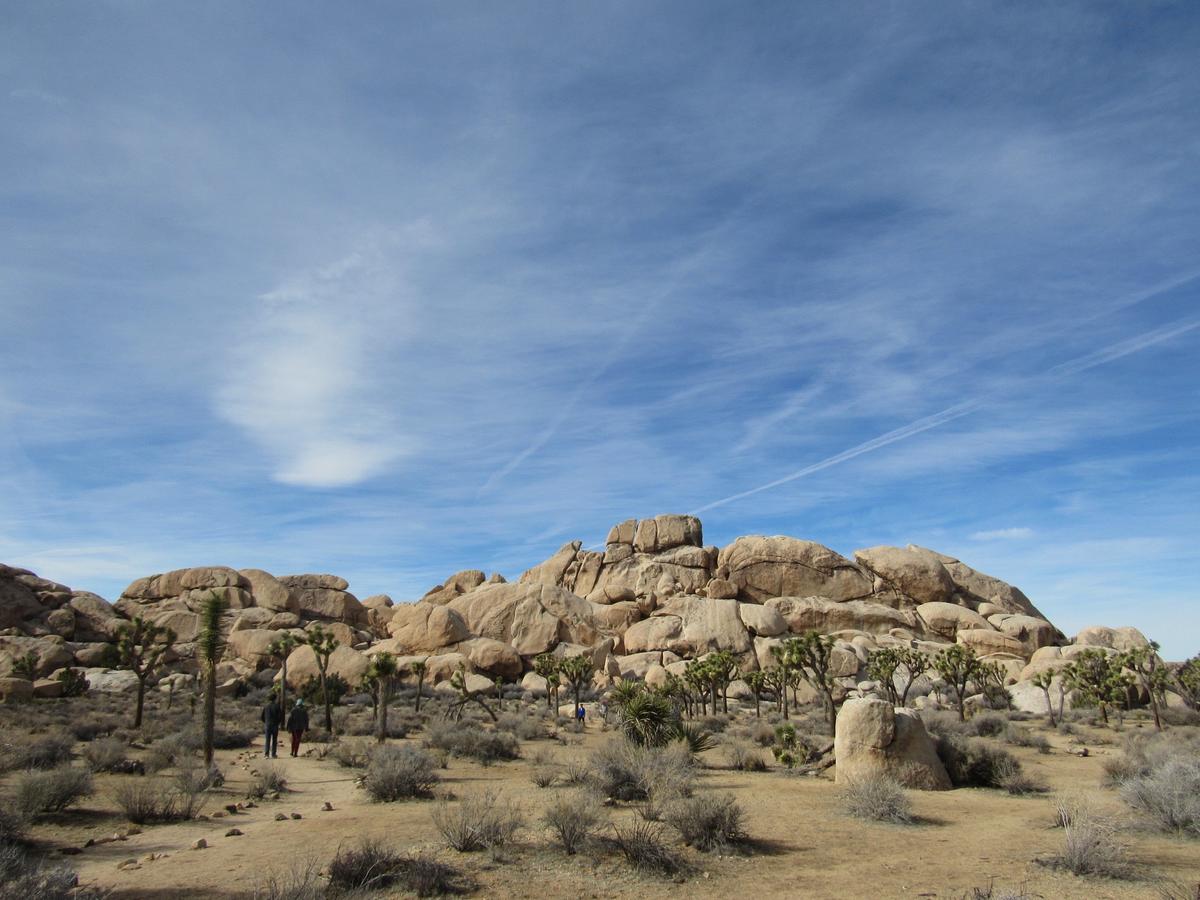 Holiday Inn Express Hotel & Suites Twentynine Palms - thumb 41