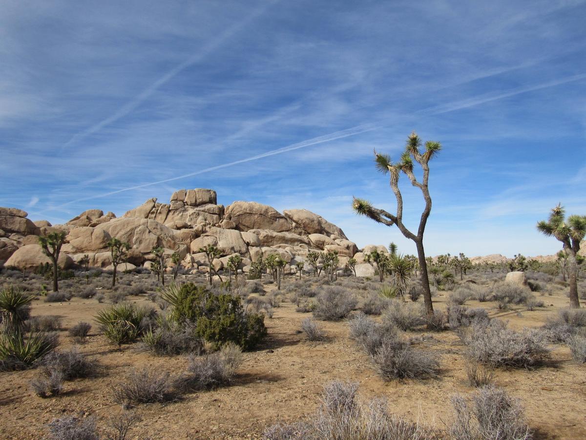 Holiday Inn Express Hotel & Suites Twentynine Palms - thumb 6