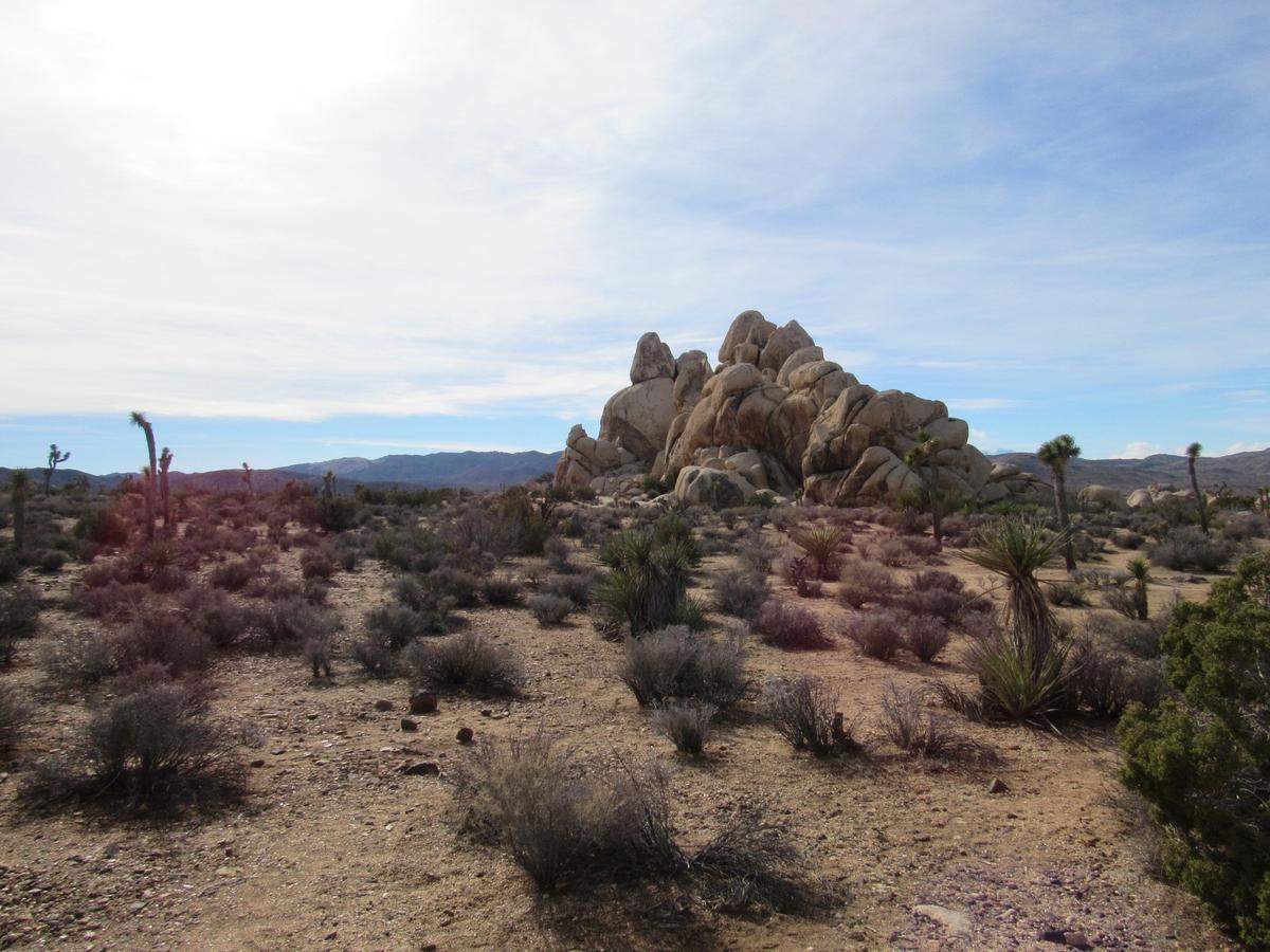 Holiday Inn Express Hotel & Suites Twentynine Palms - thumb 43