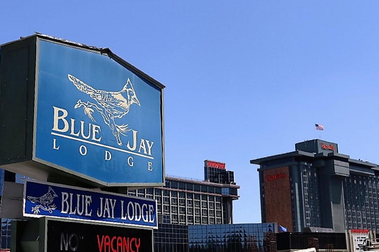Blue Jay Lodge - thumb 0