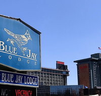 Blue Jay Lodge - Accommodation Los Angeles