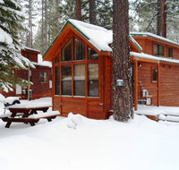 Cedar Pines Resort - Accommodation Los Angeles