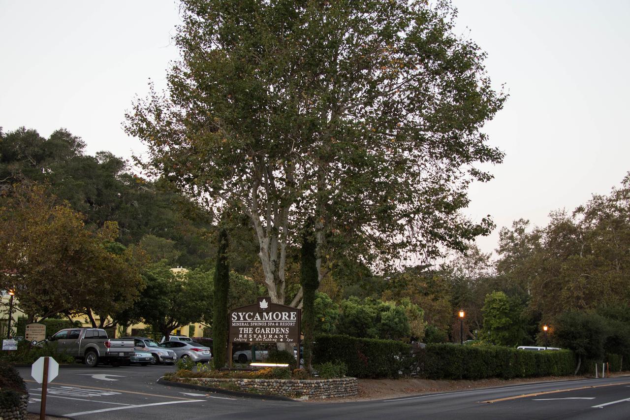Sycamore Mineral Springs - thumb 36