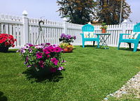 Book Los Angeles Hotels, Accommodation Los Angeles Accommodation Los Angeles