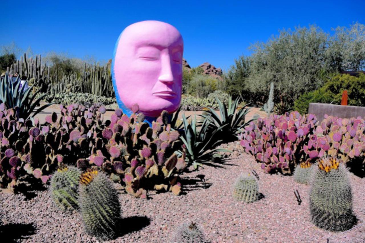 Paradise Valley Retreat - thumb 26
