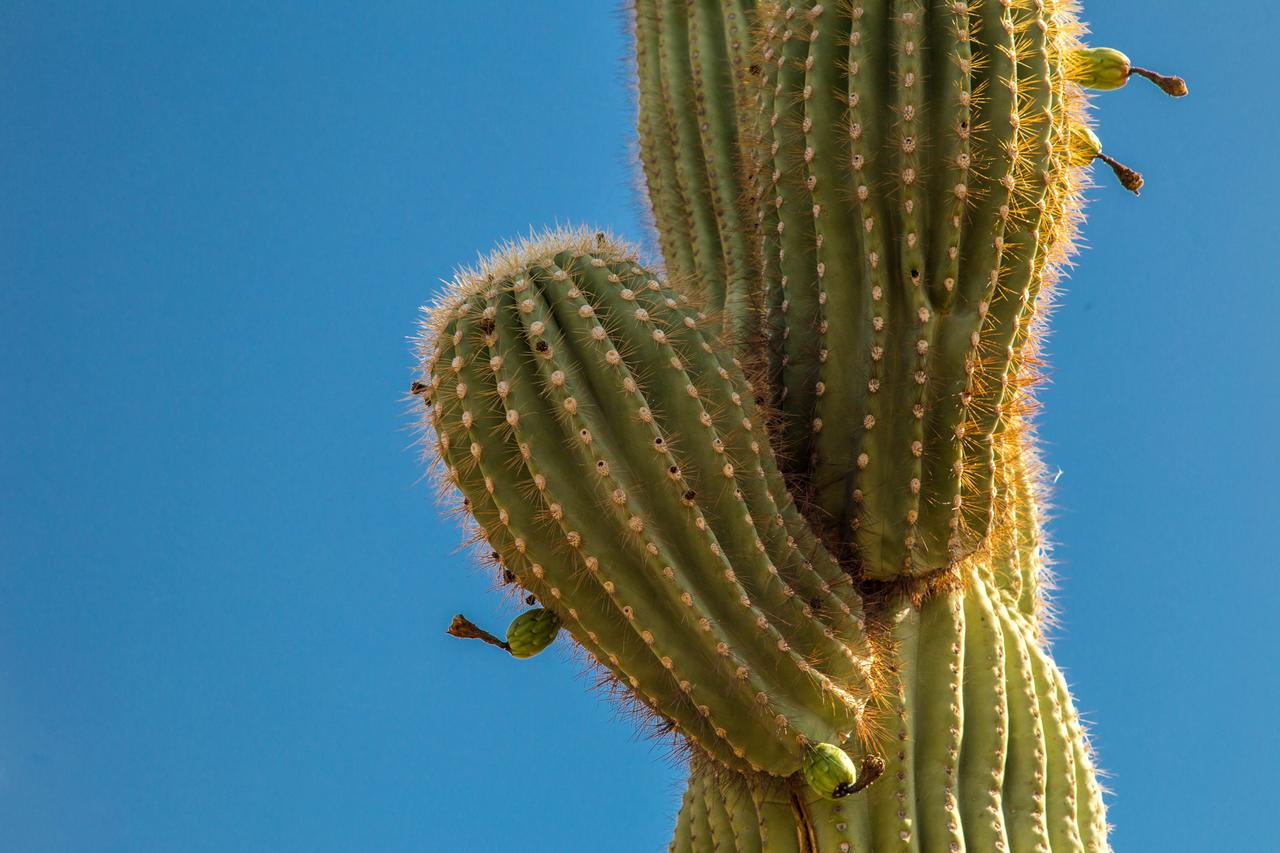 Andora Place - thumb 22