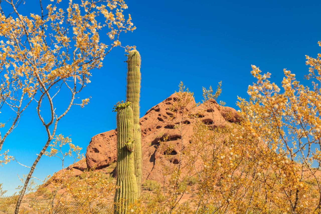 Andora Place - thumb 21