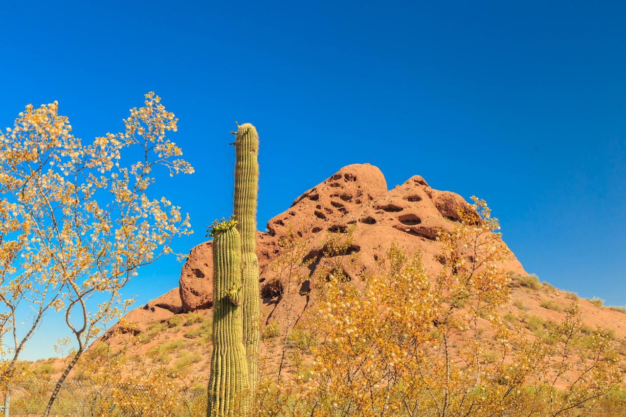 Andora Place - thumb 20