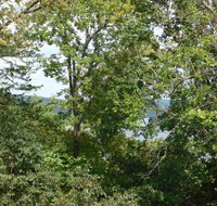 North Shore Resort on Bull Shoals Lake - Accommodation Los Angeles