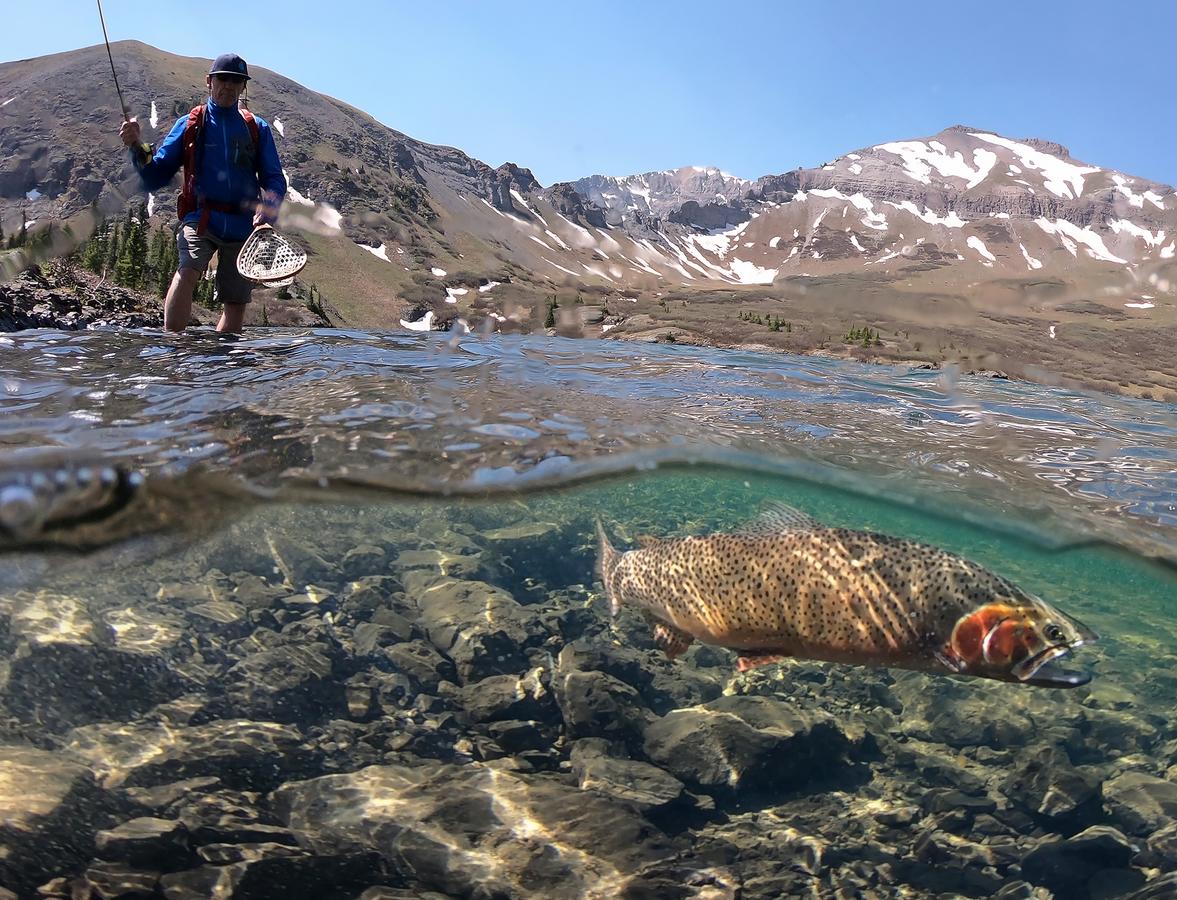 Lumiere With Inspirato - thumb 36