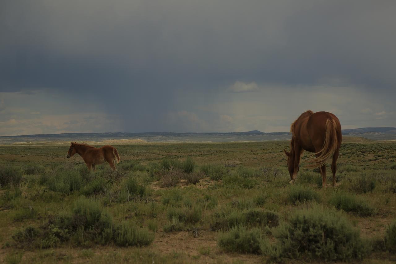 Wild Skies Cabin Rentals In Craig, CO - thumb 10