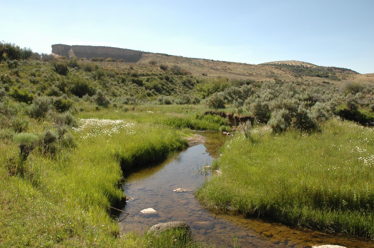 Wild Skies Cabin Rentals In Craig, CO - thumb 6