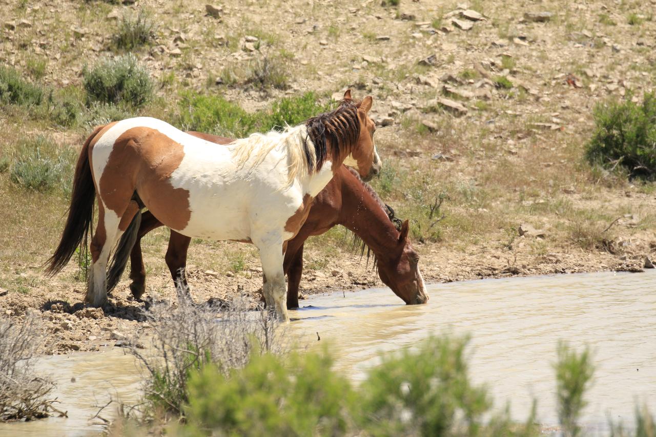 Wild Skies Cabin Rentals In Craig, CO - thumb 11