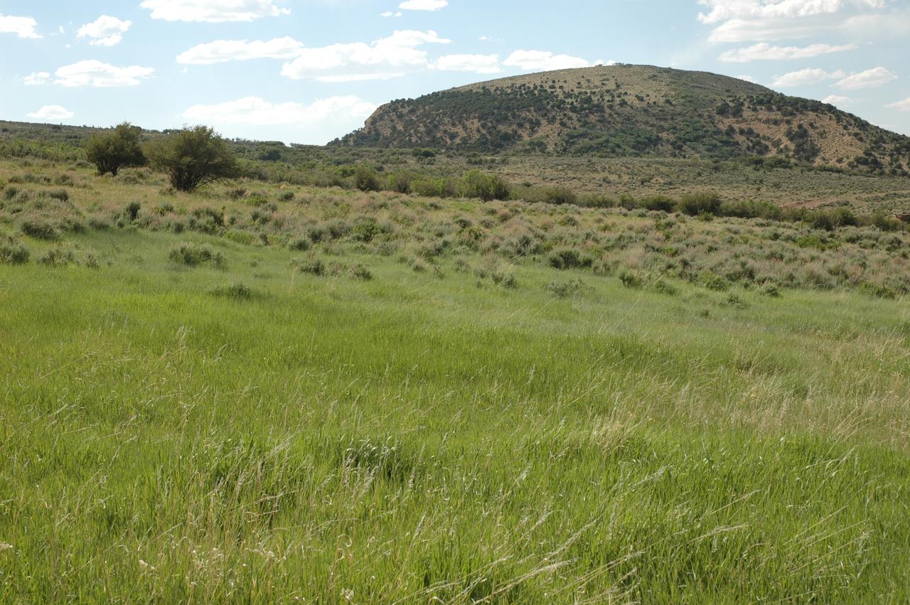 Wild Skies Cabin Rentals In Craig, CO - thumb 7
