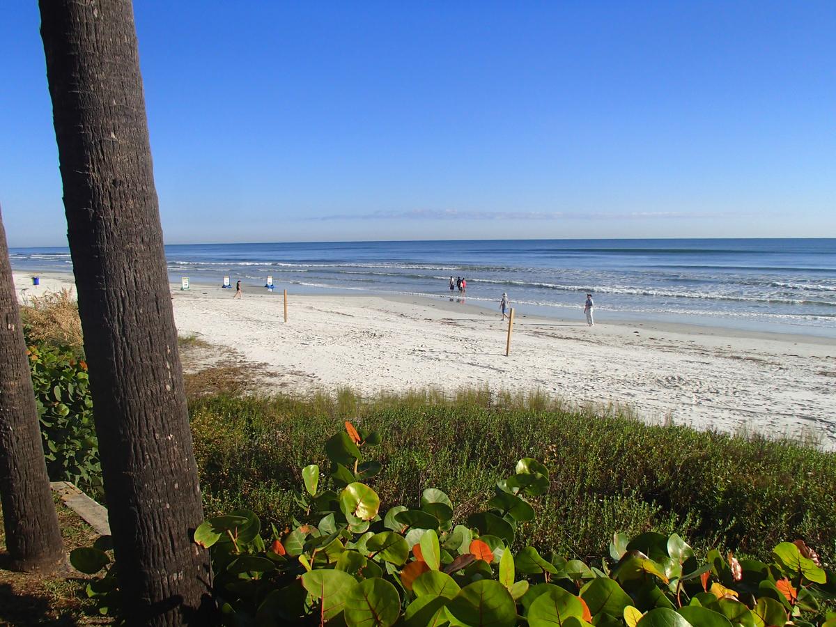 Flamingo Inn Beachfront - Daytona Beach - thumb 30