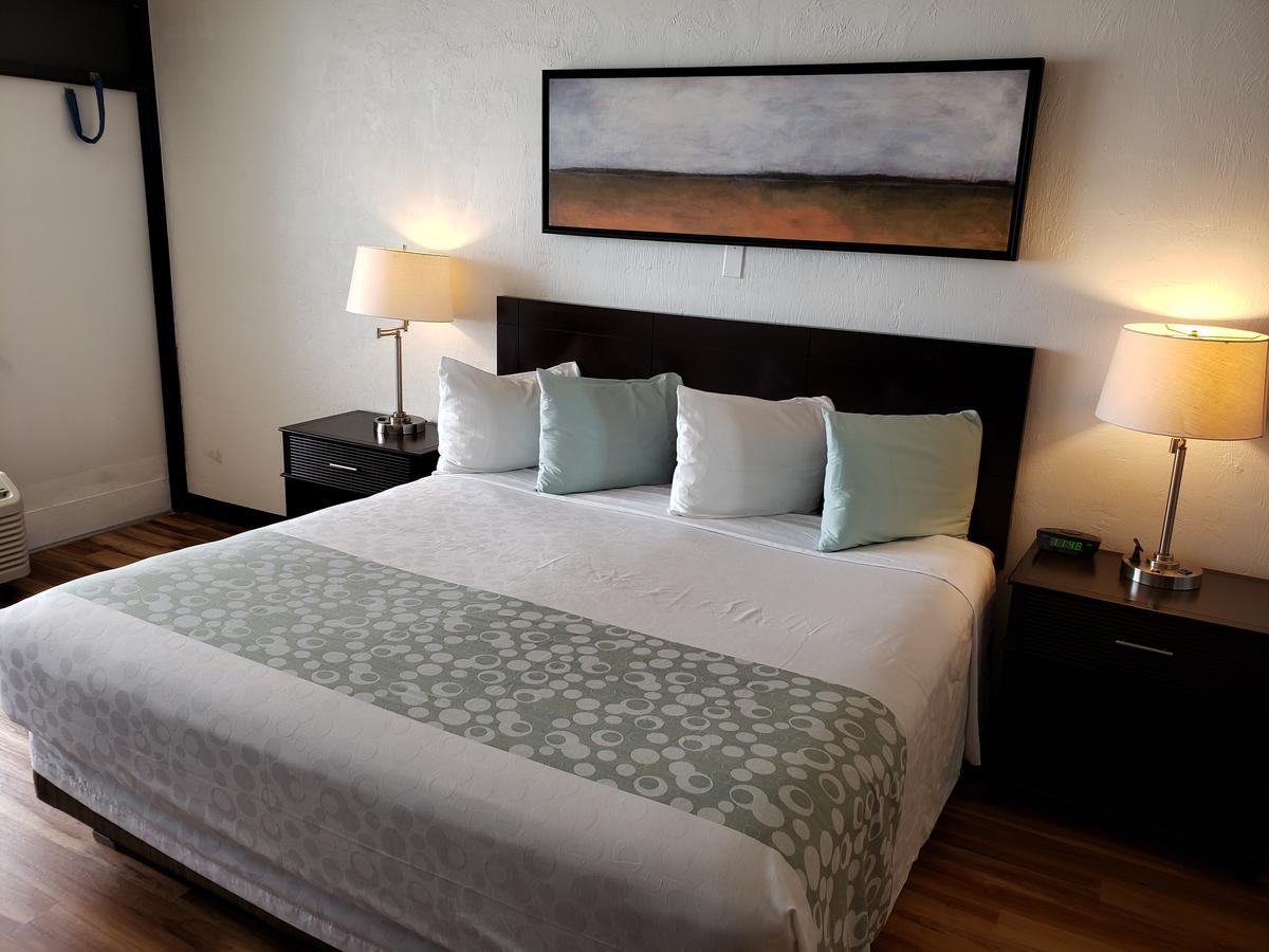 Flamingo Inn Beachfront - Daytona Beach - thumb 20