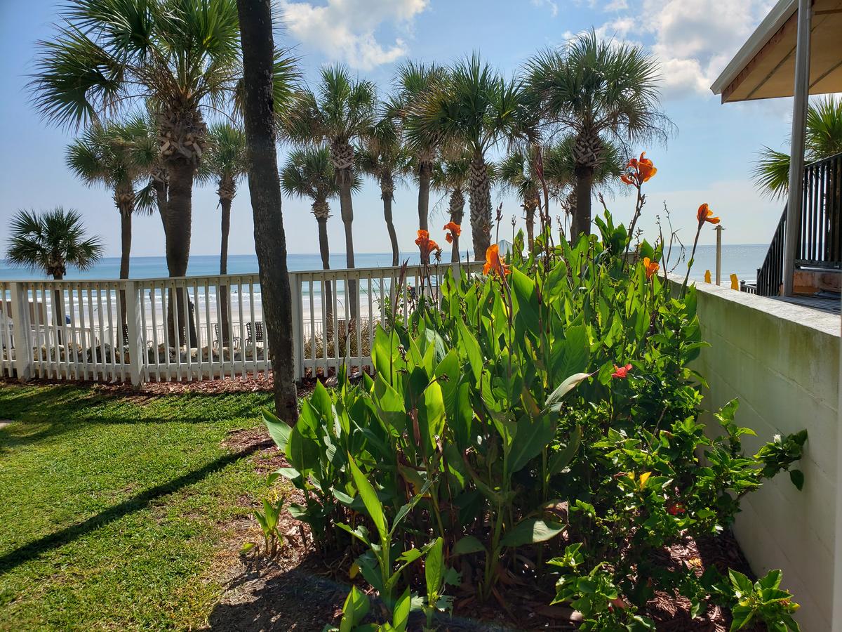 Flamingo Inn Beachfront - Daytona Beach - thumb 22