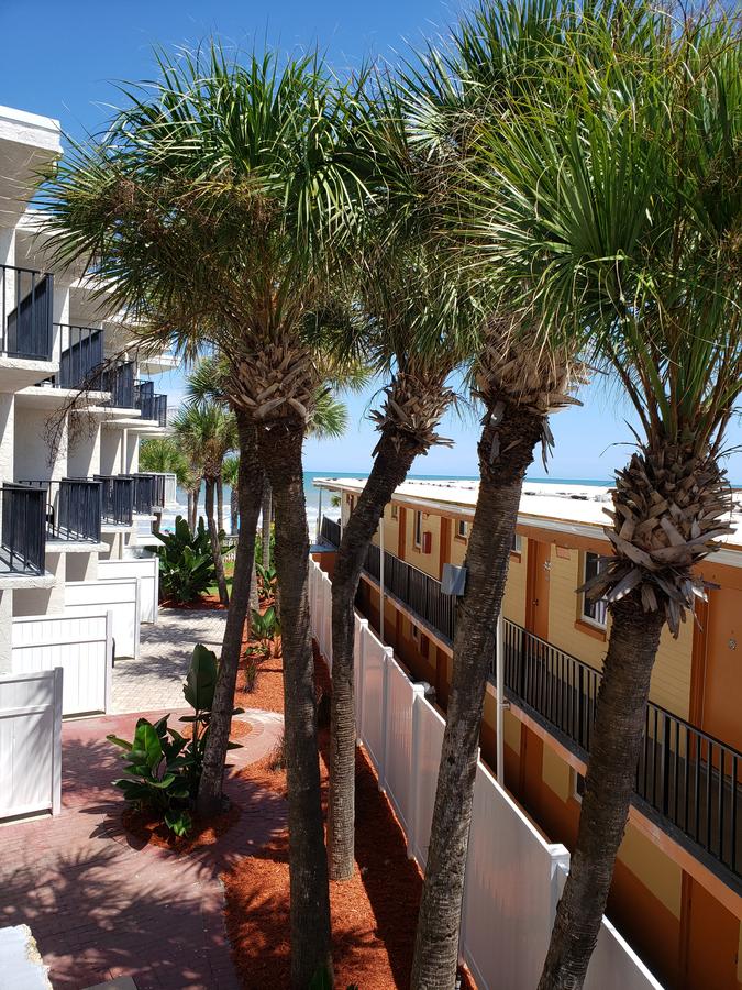 Flamingo Inn Beachfront - Daytona Beach - thumb 12