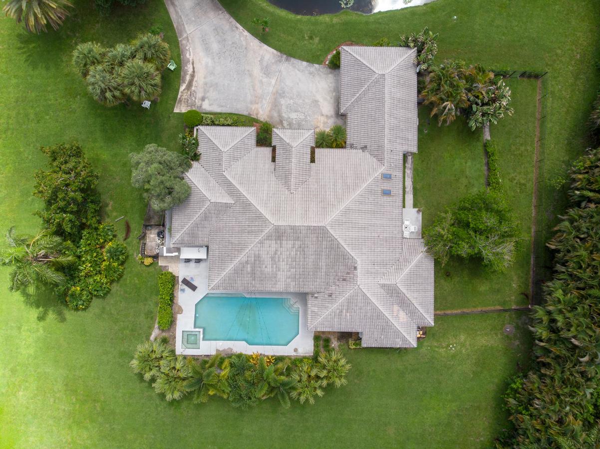 Luxuriant Estate Wellington - thumb 13