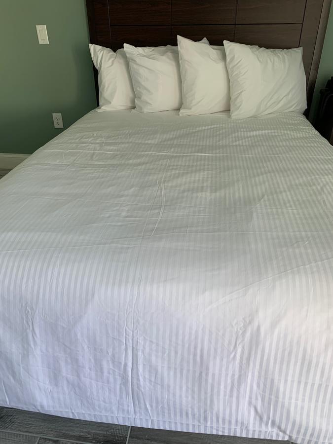 Atlantic Shores Motel - thumb 30