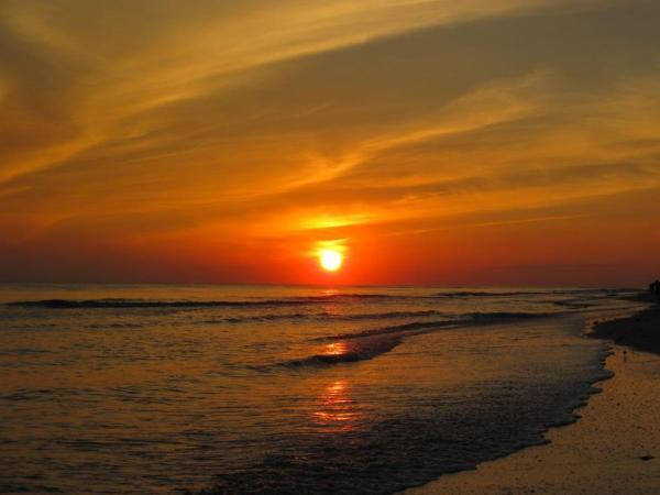 The Beach On Longboat Key - thumb 34